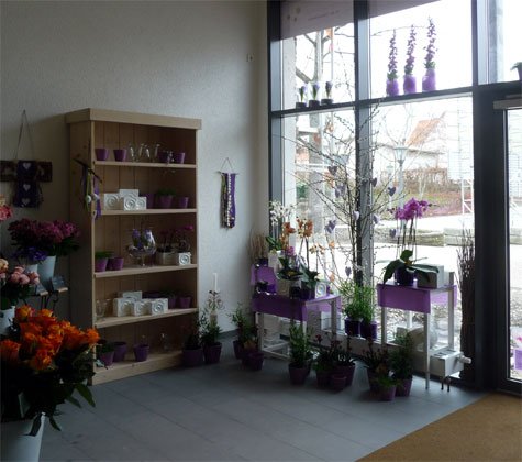 Große Fensterflächen lassen den Innenraum sehr hell und freundlich erscheinen