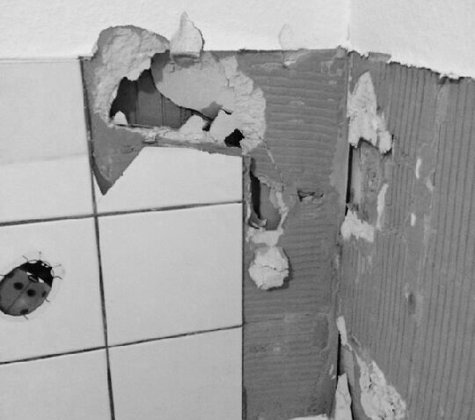 Der Bestand muss vollständig entkernt werden